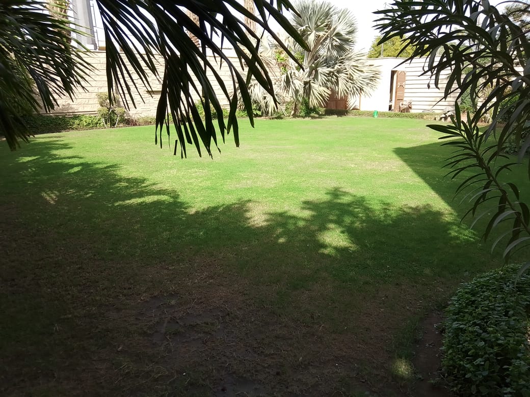 Near Islamia College (5)