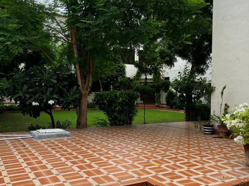 Lala Zar Society (4)