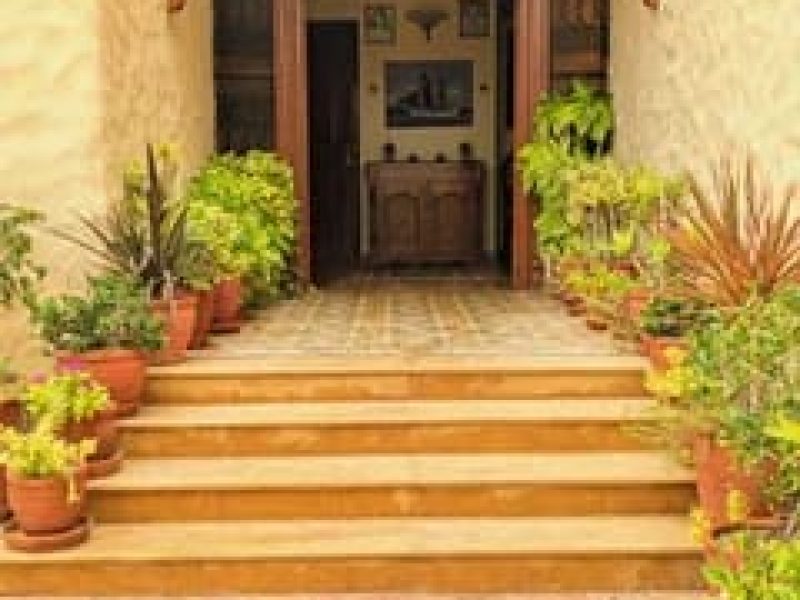 Mandakini house